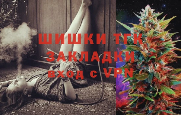 тгк Алзамай