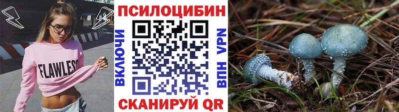 Галлюциногенные грибы ЛСД  где продают наркотики  Ленинск 